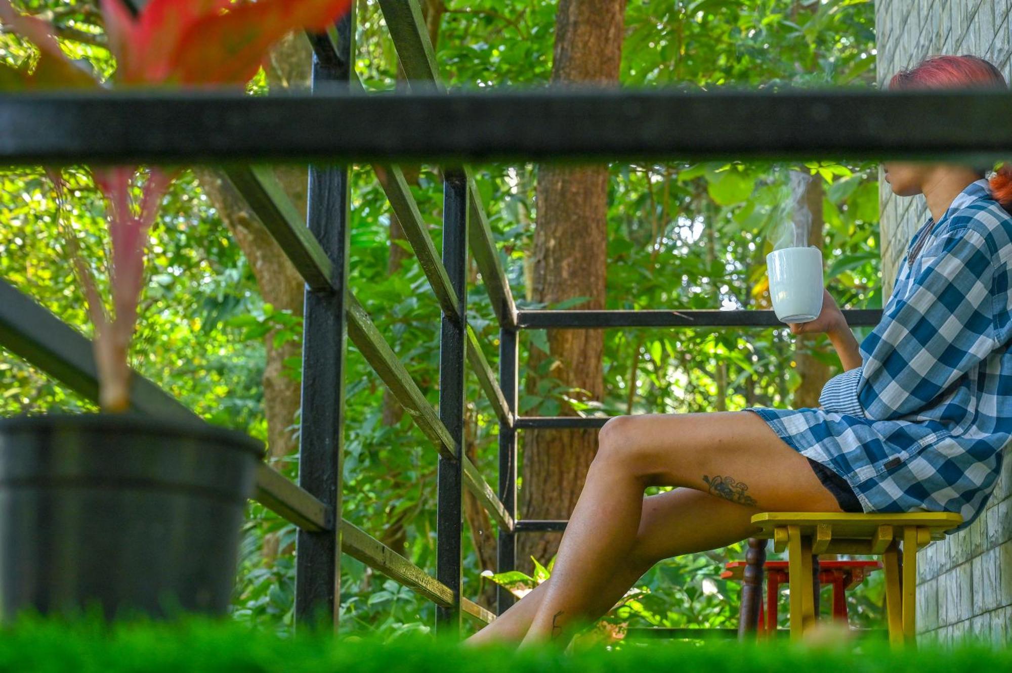 Shell House - Private Stay With Garden View In Arambol Mandrem Buitenkant foto