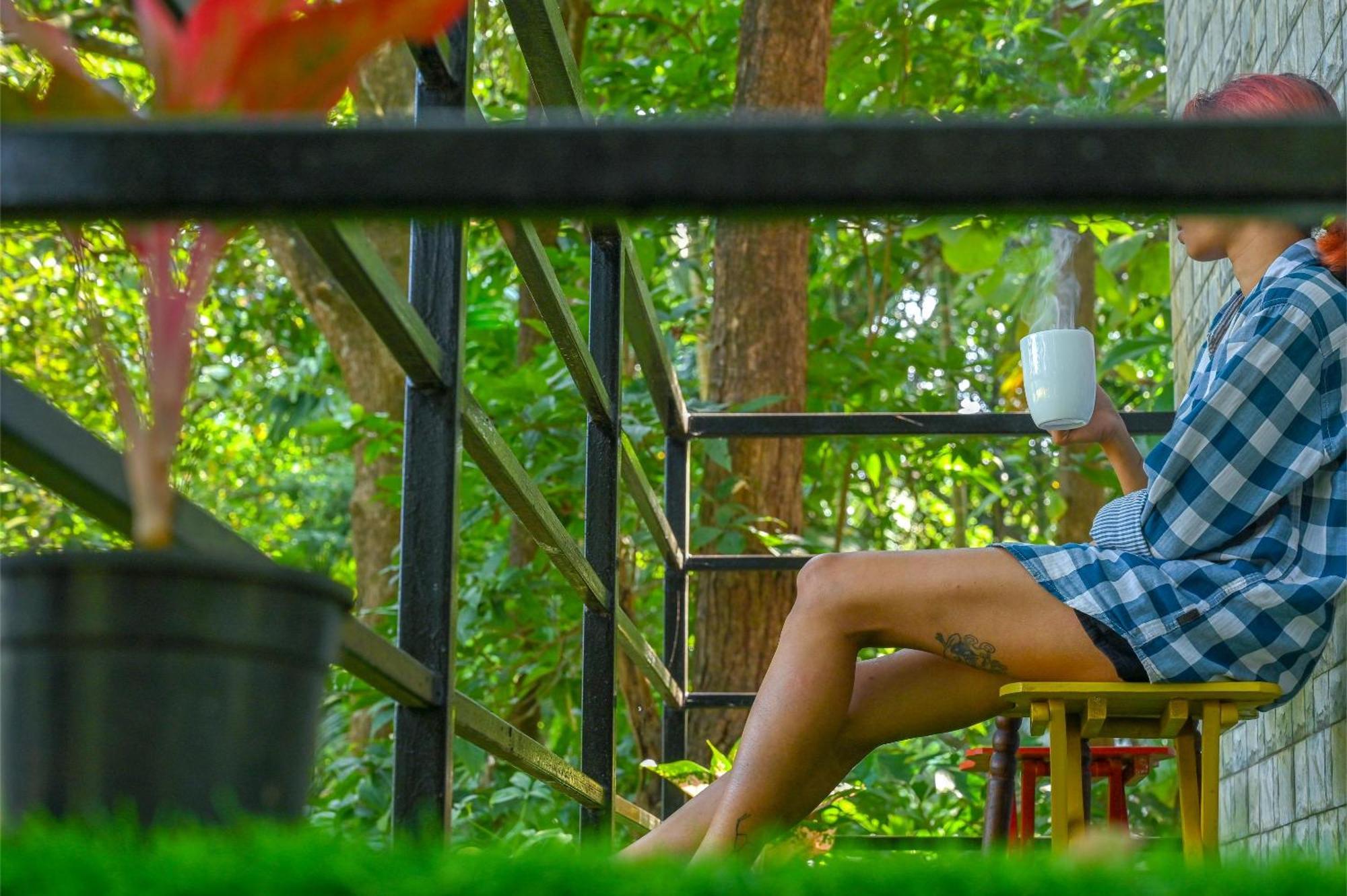 Shell House - Private Stay With Garden View In Arambol Mandrem Buitenkant foto